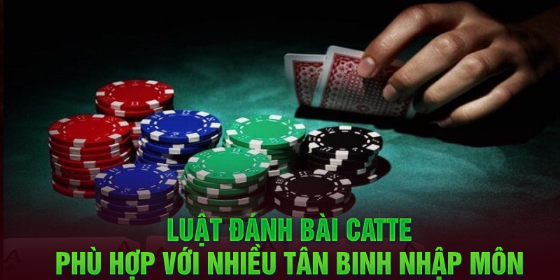 Luật đánh bài Catte phù hợp với nhiều tân binh nhập môn