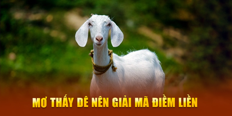 Mơ thấy dê nên giải mã liền