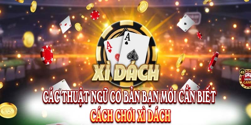 Cách Chơi Xì Dách - Mách Người Mới Các Mẹo Hay Để Thắng
